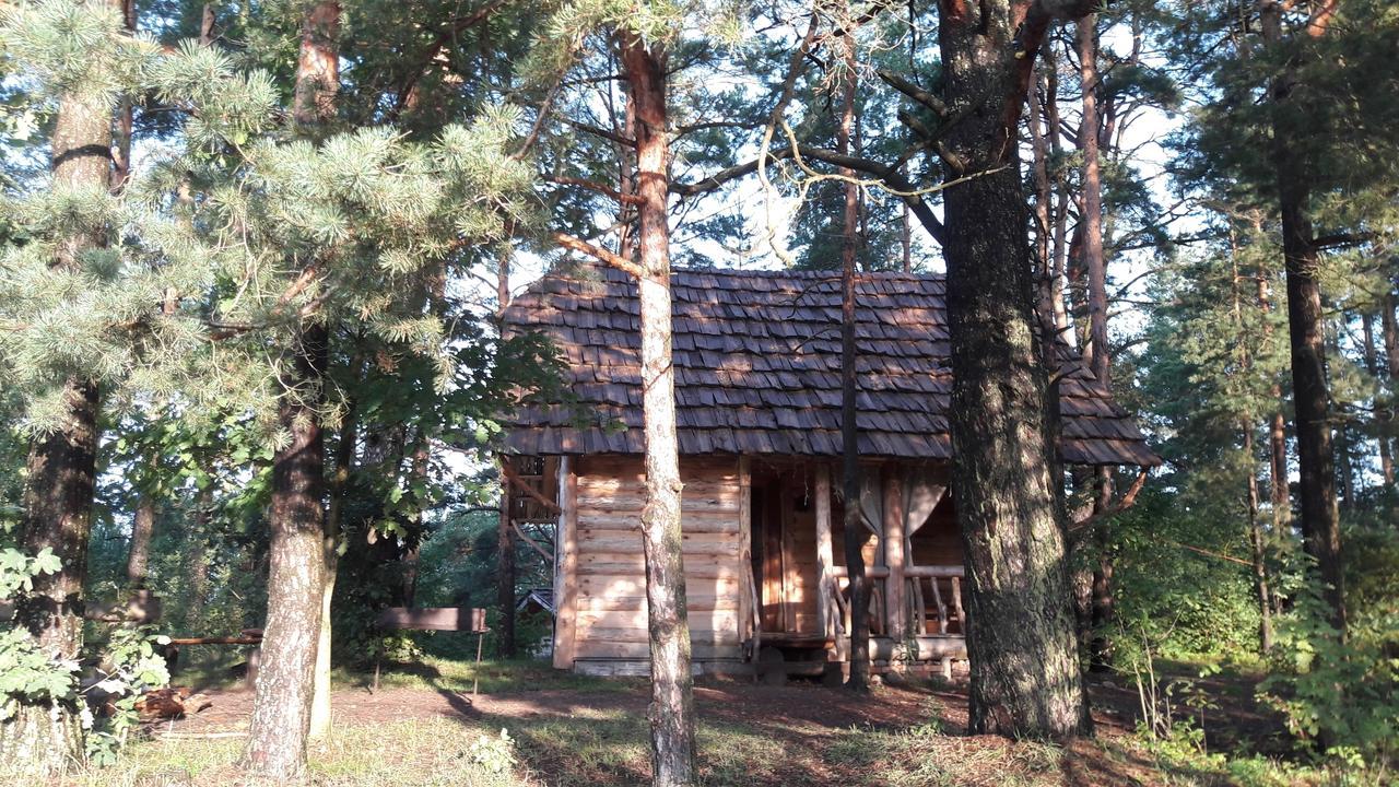 Aghrousadba Zapovednyi Ostrov Hotel Sho Luaran gambar